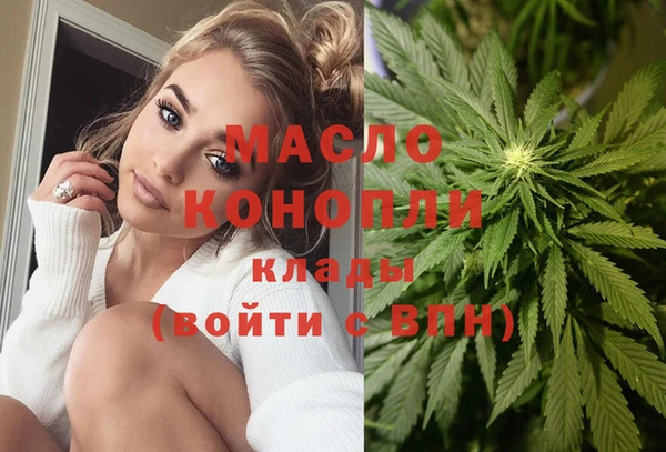 индика Новодвинск