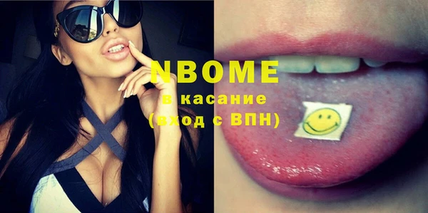 шишки Новозыбков