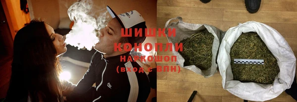 индика Новодвинск