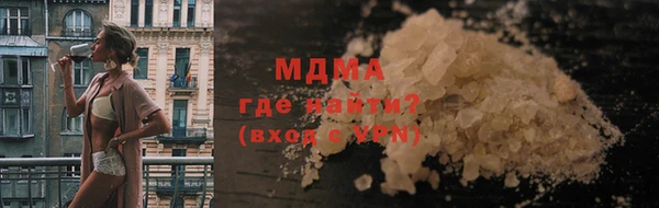 индика Новодвинск