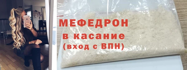 индика Новодвинск