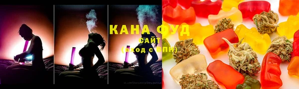индика Новодвинск