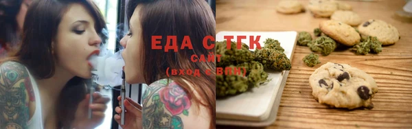 индика Новодвинск