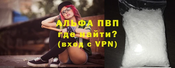 шишки Новозыбков