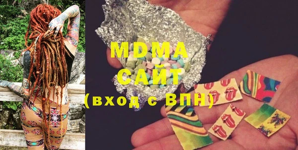 индика Новодвинск