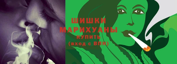 шишки Новозыбков