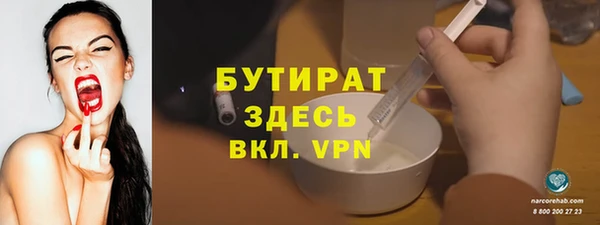 индика Новодвинск