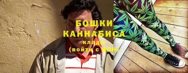 шишки Новозыбков