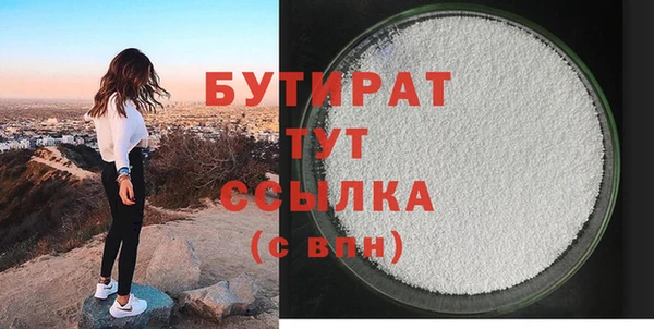 индика Новодвинск