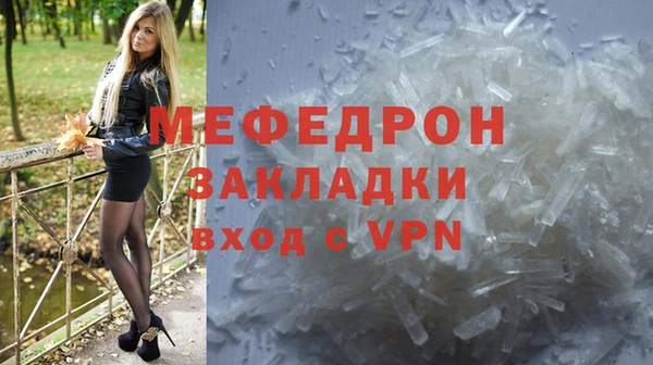 индика Новодвинск