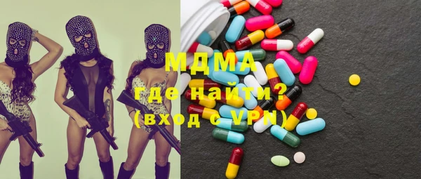 индика Новодвинск