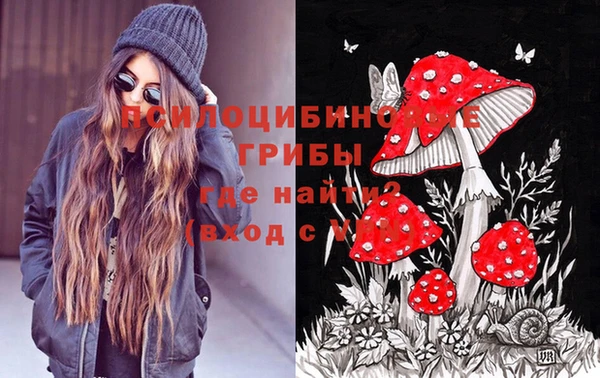 гашик Тольятти