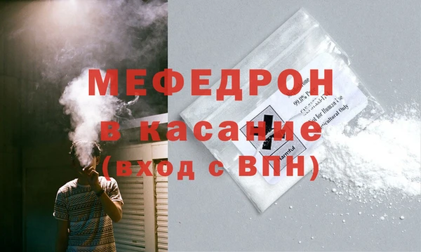 индика Новодвинск