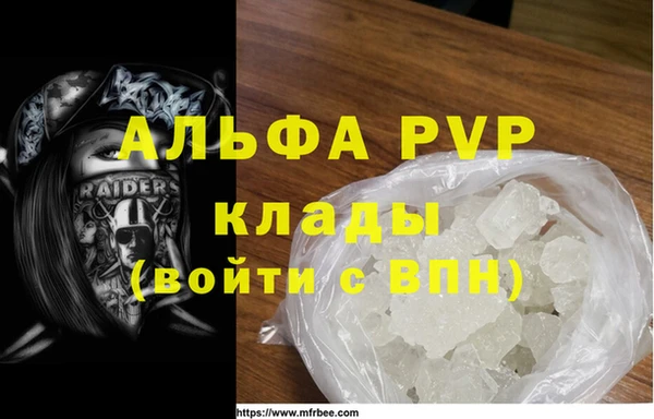 шишки Новозыбков