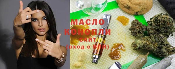 шишки Новозыбков