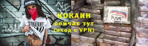 индика Новодвинск