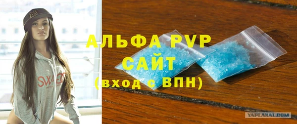 индика Новодвинск
