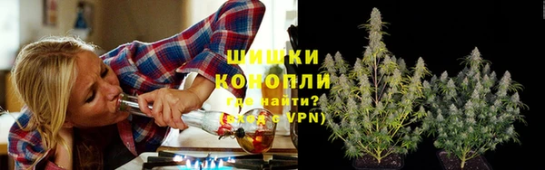 шишки Новозыбков