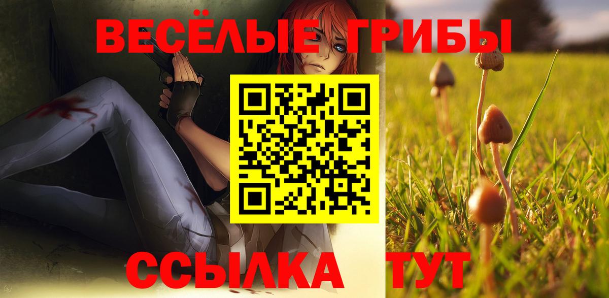 Псилоцибиновые грибы Cubensis Оренбург