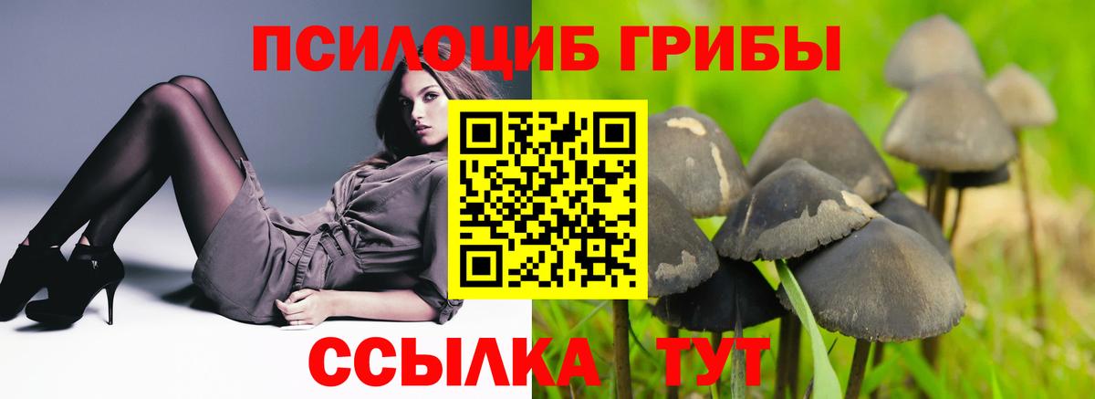 Оренбург  Псилоцибиновые грибы Magic Shrooms  Вход с VPN 