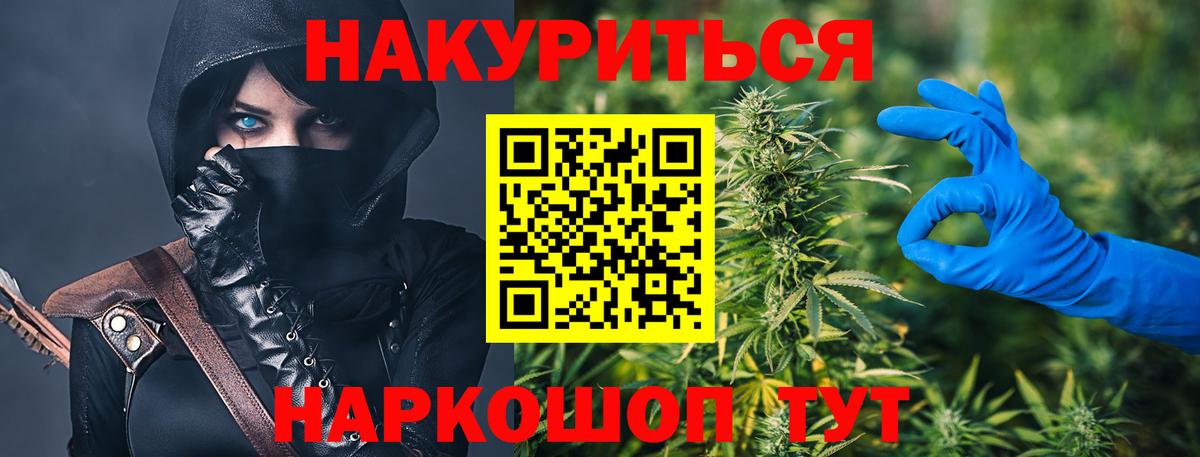 Конопля сатива Оренбург